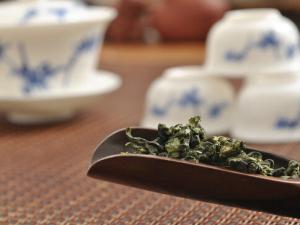 鐵觀音屬于什么茶？如何鑒別鐵觀音？