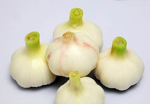 ôԴЧAY