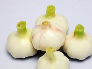 怎么吃大蒜才能有效預防癌癥？