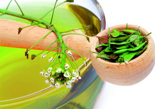 常喝綠茶的老年人獨立性更強(qiáng)