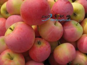 沙果怎么吃？吃沙果的食用禁忌