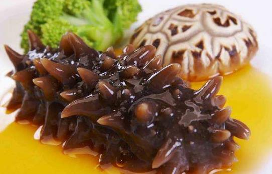 海參怎么吃最有營養?海參食用方法與禁忌