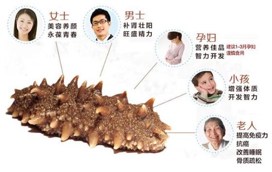 海參怎么吃最有營養?海參食用方法與禁忌