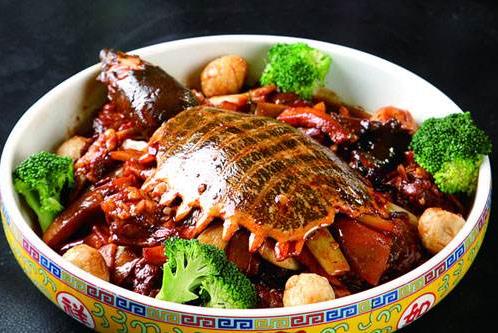 甲魚(yú)的血能喝嗎?甲魚(yú)血怎么吃更好
