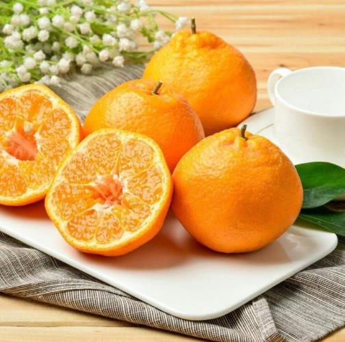 粑粑柑一天可以吃幾個(gè)?吃粑粑柑會(huì)上火嗎