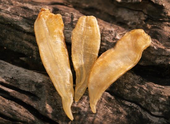 花膠泡發要不要放冰箱里?花膠40頭和60頭的區別