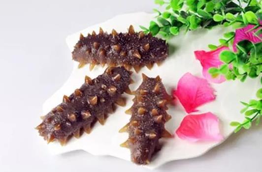 海參帶刺和不帶刺的哪個好?海參發白是什么原因