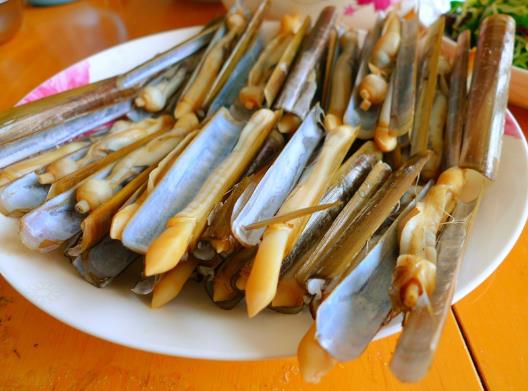 蟶子要吐沙子嗎?蟶子為什么不能直接挖出來(lái)