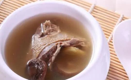 孕婦吃鴿子有什么好處?孕婦吃鴿子對胎兒好嗎?