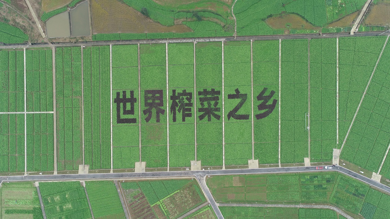 http://www.tewxkgs.cn/upload_files/article/10/27_hjodo__.jpg