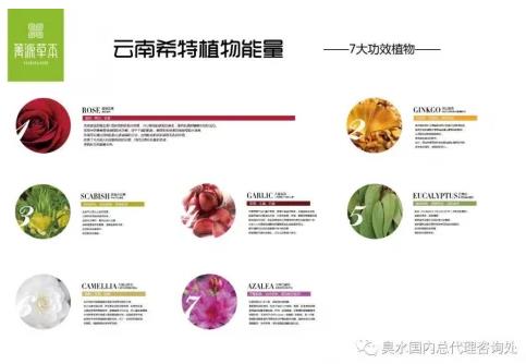 菁源草本臭水能祛斑嗎,效果到底怎么樣