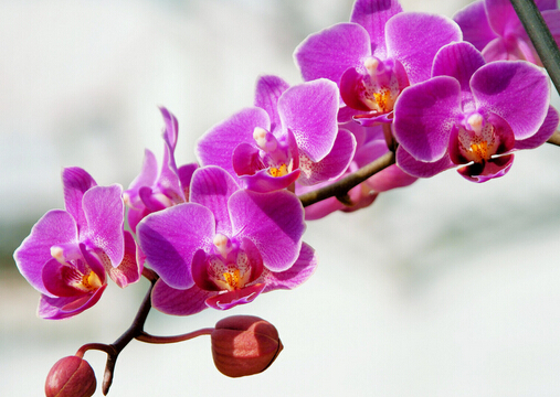 mҾӭhӰ-mLˮW