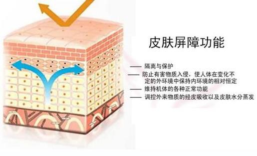 干皮適合什么護膚品 冬季也要精致護膚