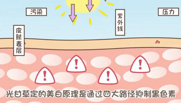 光甘草定的功效與作用