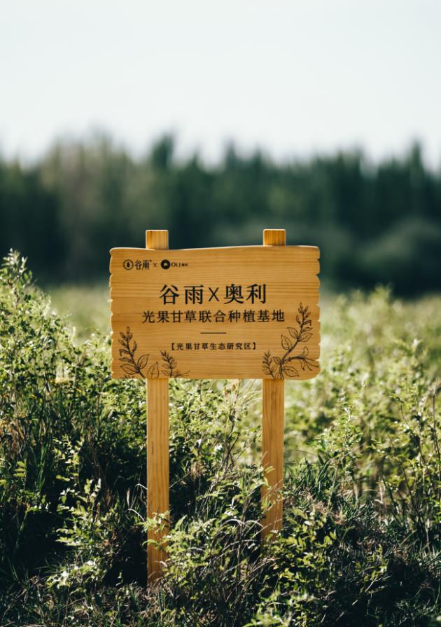 谷雨護膚品