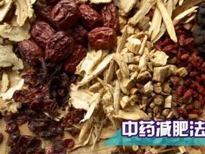 哪種中藥減肥效果好？吃什么中藥可以減肥