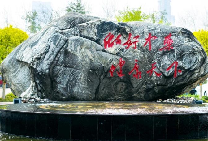 世界腸道健康日,御芝林用“心”守護國人健康