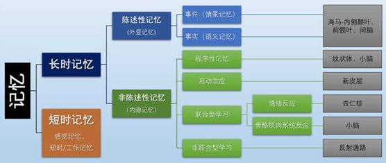 為什么你不記得嬰幼兒時期發(fā)生的事?記憶會一直保留到我們離開人世嗎