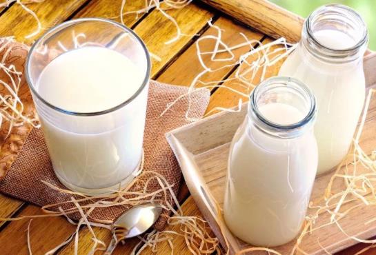 喝牛奶長痘痘是因為乳糖不耐受嗎?喝牛奶長痘痘是咋回事