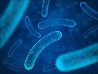 長期加班熬夜微生態紊亂?lifespace益生菌幫你改善