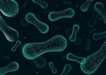 長期加班熬夜微生態紊亂?lifespace益生菌幫你改善