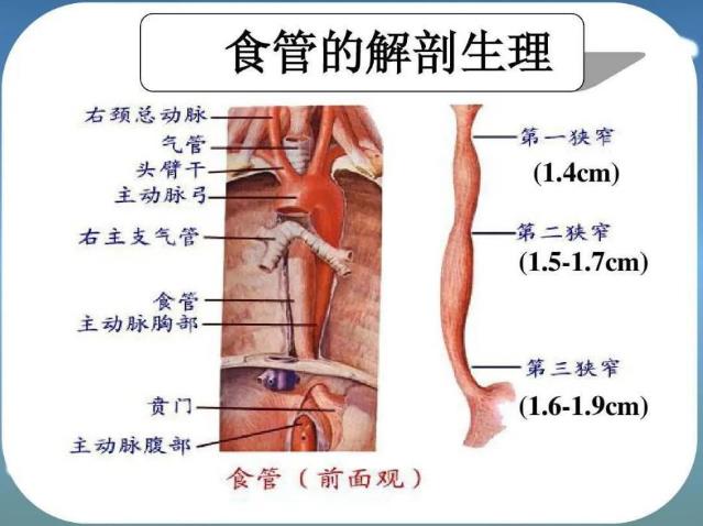 廣東哪家能看好腫瘤暨南大學附屬復大腫瘤醫(yī)院