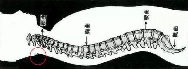 重慶紅樓醫院骨科收費高嗎_評價好不好_對癥治療醫術精湛
