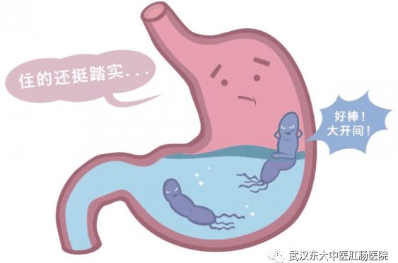 武漢東大肛腸醫(yī)院:專(zhuān)業(yè)致力于腸胃健康
