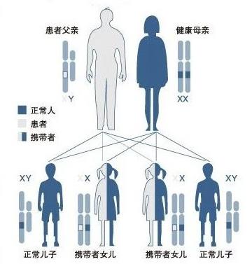 武漢東大肛腸醫(yī)院:專(zhuān)業(yè)致力于腸胃健康