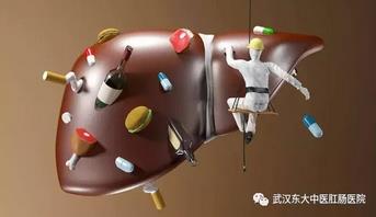 武漢東大肛腸醫院:關于人體五臟你知道多少?