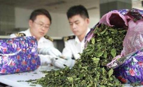全世界唯一“吃樹葉”的國(guó)家,把國(guó)家吃垮 巧茶稱為“東非罌粟”