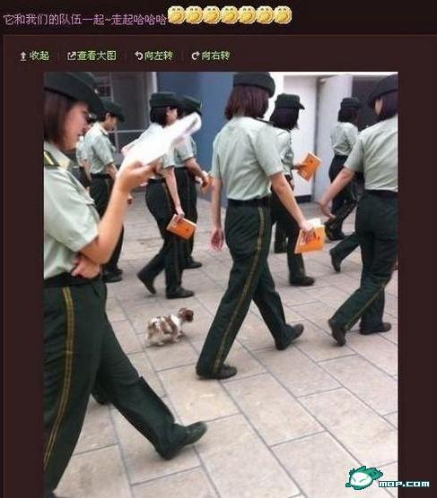 ŮT΢ŸǠhһŮT΢ŸԸƬ