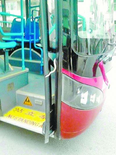 武漢公交車行駛途中驚現(xiàn)1米長(zhǎng)毒蛇嚇壞乘客,民警捉走毒蛇并放生