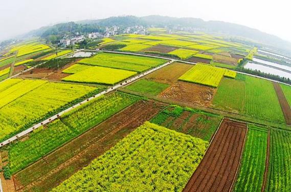 什么是土地登記?土地登記申請材料包括哪些(出現爭議如何處理)