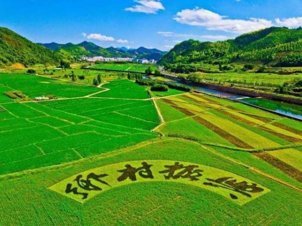 鄉村振興包括哪五方面的振興?鄉村振興戰略有哪些商機?