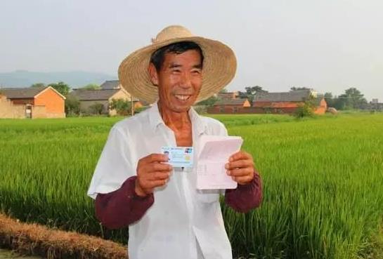 12316可以查詢糧食補貼嗎?糧食補貼幾月份發放