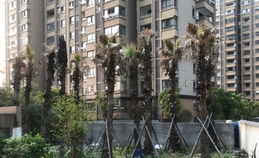 解困房是合法的嗎 解困房是經濟適用房嗎