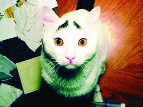 ü؈ɽķW(wng)j(lu)t(x)(sh)؈üĘuȇ
