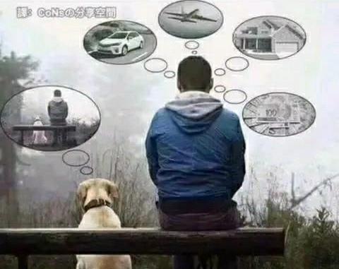 為什么狗活的比人開心?狗可以依靠主人,但是主人只能依靠自己