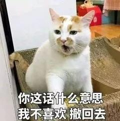 廣盛原【斑禿丸】聰明不“絕頂”的秘密你get了嗎?