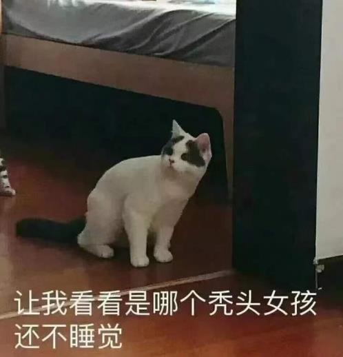 廣盛原【斑禿丸】聰明不“絕頂”的秘密你get了嗎?