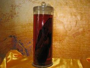 陽痿患者喝什么藥酒？男人的養腎藥酒