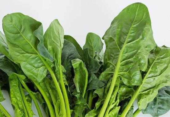 男性上班犯困很常見導(dǎo)致工作效率低 推薦五大食物對(duì)抗上班族犯困