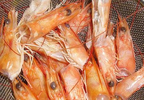 男性精子出現問題補精很重要 推薦7種食物可以幫助補精