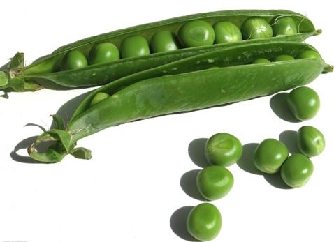 ŮԴʲô㶹Bo