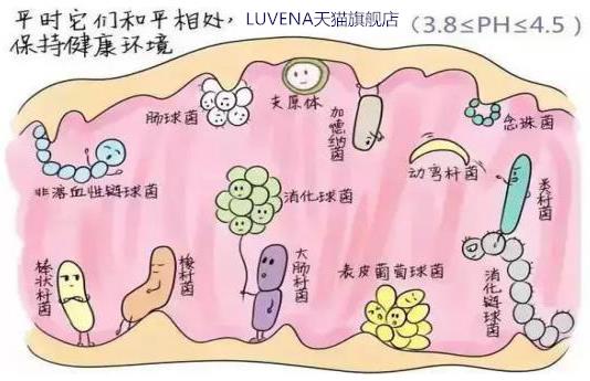 LUVENA-每天清洗私處還會癢?因?yàn)樽詈玫募?xì)菌被洗沒了 !
