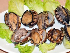 鮑魚(yú)怎么做好吃？鮑魚(yú)的家常做法
