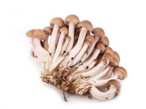 蟹味菇的營養(yǎng)價值-蟹味菇的做法大全