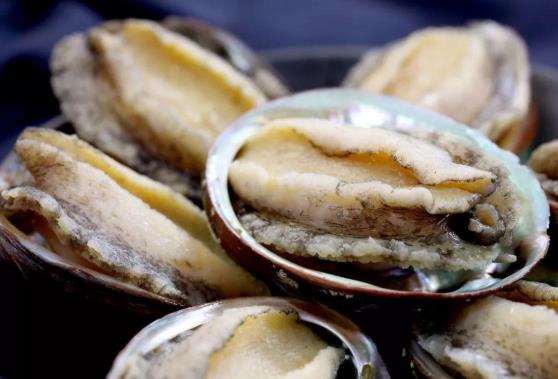 干鮑魚上有白霜是發霉了嗎?鮑魚粥里的鮑魚要煮多久?