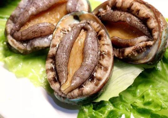 鮑魚燉雞湯什么時(shí)候放鮑魚?鮑魚燉雞湯鮑魚要去殼嗎